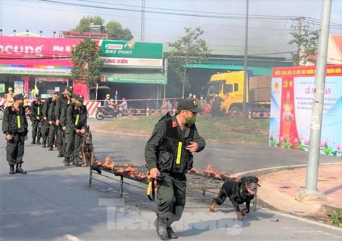 Tại lễ ra quân, chó nghiệp vụ đã trình diễn các tình huống phát hiện và tấn công tội phạm. Đội “cảnh khuyển” đã vượt qua rào cản mìn, đạn để khống chế tội phạm.