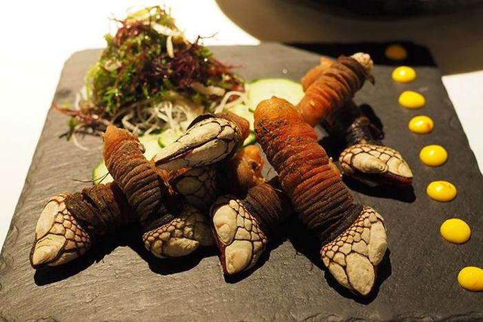 Đặc sản "ngón tay quỷ" có giá đắt đỏ không chỉ bởi nó quý hiếm mà còn nằm ở quá trình đánh bắt gian nan và thời gian bảo quản ngắn. Ảnh: Getty