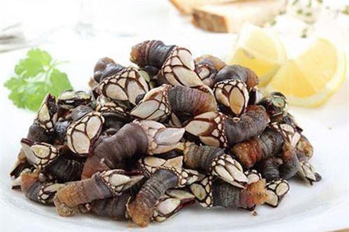 Trái ngược với hình dáng "ma chê quỷ hờn" bên ngoài, hà ngỗng lại là đặc sản đắt tiền được săn lùng ở châu Âu. Ảnh: BI