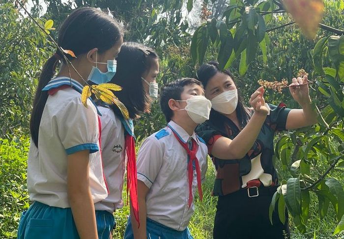 Một tiết Khoa học Tự nhiên của cô trò lớp 5A (Trường Tiểu học Cẩm Bình, huyện Cẩm Xuyên, Hà Tĩnh). Ảnh: TG