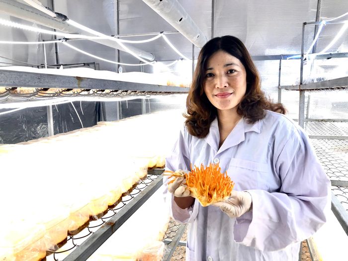 Chị Nguyễn Thị Liên (tổ 3, thị trấn Ia Ly, huyện Chư Păh) giới thiệu nấm đông trùng hạ thảo. Ảnh: Gia Hưng