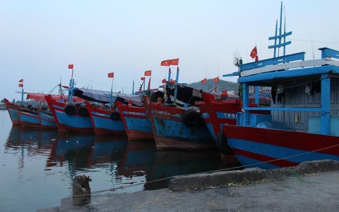 Các phương tiện khai thác thủy sản lưu bến dài ngày ở Lạch Bạng. 