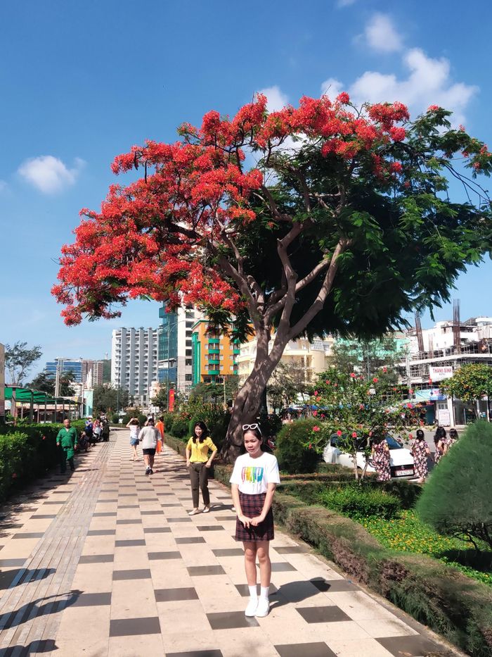 Giới trẻ thích thú đến đây check-in