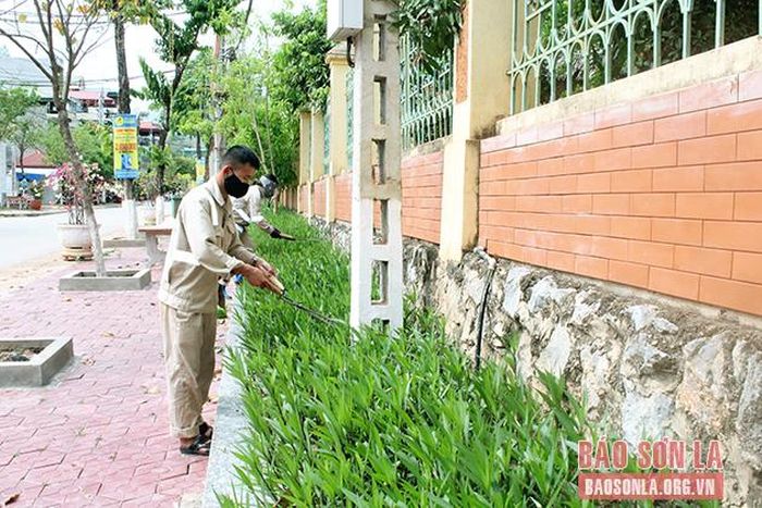 Công nhân Công ty cổ phần Môi trường và Dịch vụ đô thị Sơn La, Chi nhánh huyện Yên Châu cắt tỉa cây xanh đô thị.