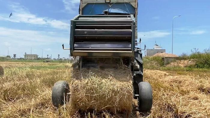 Cuộn rơm bằng máy nhanh hơn nhiều so với thủ công.