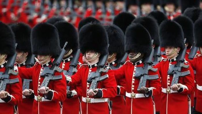 Trong đó, một trung đội làm nhiệm vụ bảo vệ cung điện Buckingham và trung đội còn lại làm nhiệm vụ bảo vệ cung điện St. James.
