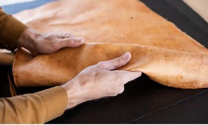 Mảnh da làm từ sợi nấm, trông giống như da bò. (Nguồn: Guardian)