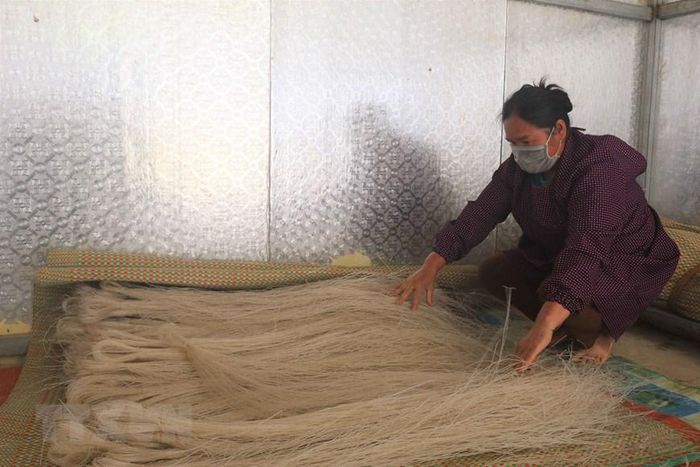  Sợi miến dong Phia Đén có màu hơi đen hoặc trắng ngà. (Ảnh: Chu Hiệu/TTXVN) 