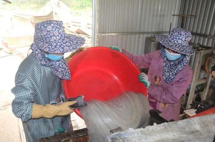  Được làm thủ công từ chất ngọt của củ dong đặc trưng cùng nguồn nước của suối nguồn mát lạnh, với kỹ thuật chế biến cổ truyền, không có chất bảo quản, chất làm trắng, đồng thời được phơi ở môi trường ko cát bụi ô nhiễm nên miến dong Phia Đén đã tạo thương hiệu riêng và được nhiều vùng miền trong cả nước biết đến. (Ảnh: Chu Hiệu/TTXVN) 