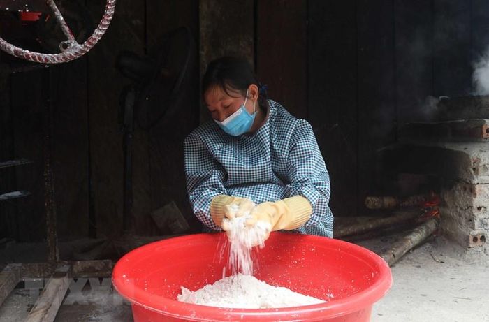  Củ dong riềng rửa sạch đất cát, cắt bỏ rễ và các phần bị hỏng, sau đó, đưa vào máy nghiền tạo thành hỗn hợp gồm xơ củ và tinh bột. (Ảnh: Chu Hiệu/TTXVN) 