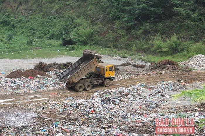 ...Sau đó chở đi chôn lấp theo quy trình. 