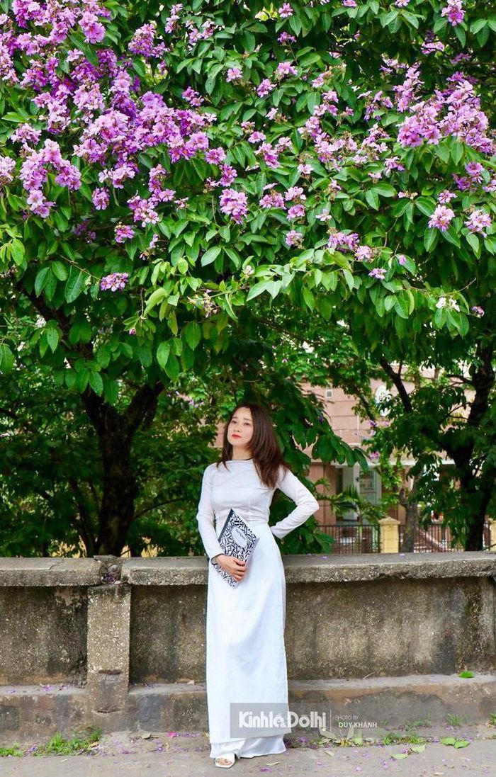 Dù không nổi bật, rực rỡ như hoa phượng vĩ, loài hoa mỏng manh này cũng tạo nên dấu ấn riêng vào mùa hè ở Hà Nội.