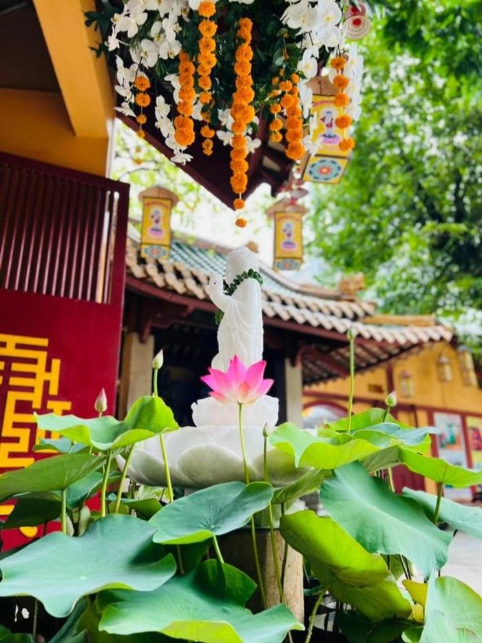 "Lễ đài Phật đản trung tâm của Phật giáo TP.HCM sẽ đặt tại Việt Nam Quốc Tự, lễ chính thức được cử hành vào lúc 6h giờ sáng ngày rằm tháng 4 Âm lịch (tức 15/5/2022). Buổi lễ có sự tham dự của các vị giáo phẩm cao cấp của Giáo hội Trung ương và TP.HCM, đại diện các cơ quan chức năng Trung ương và thành phố cũng như các tôn giáo bạn và tăng ni, phật tử", Thượng tọa Thích Tâm Hải nói.