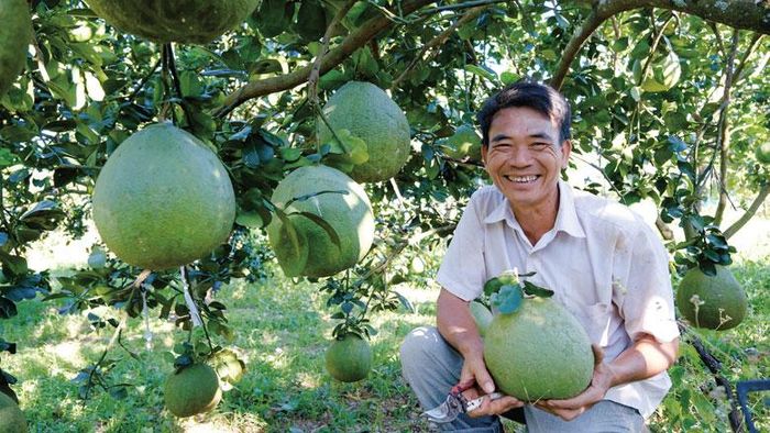 Từ việc triển khai Chỉ thị 05 vào thực tiễn, xuất hiện nhiều mô hình kinh tế tiêu biểu, góp phần chung vào sự phát triển của địa phương