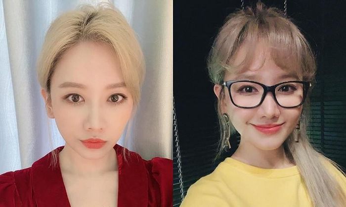 Thời mới thử nghiệm nhuộm tóc bạch kim, Hari Won đổi sang mái dài, tạo cảm giác thanh thoát cho gương mặt. Tuy nhiên, chỉ vài tuần sau đó, bà xã Trấn Thành quay về style mái ngố gắn bó với cô từ lúc vào nghề đến nay vì giúp giữ độ ngây thơ, nhí nhảnh.