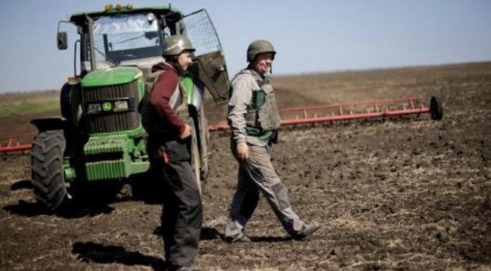 Nông dân Ukraine mặc áo chống đạn và mũ sắt khi ra đồng. Ảnh: Reuters