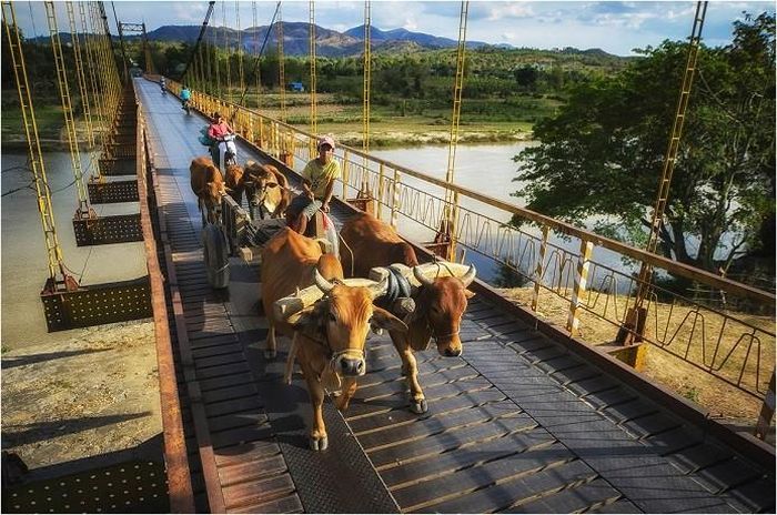 Trên cầu treo Kon Klor, phường Thắng Lợi, thành phố Kon Tum. (Nguồn: Báo Kon Tum)