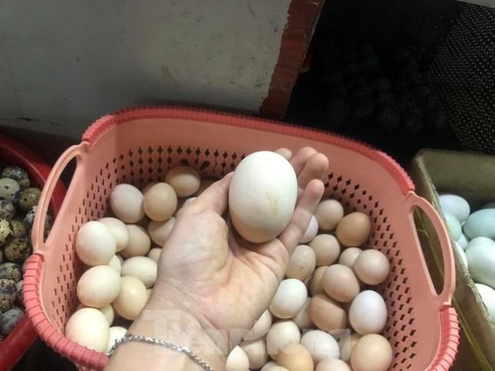 Trứng gà ta 44.000 đồng/chục