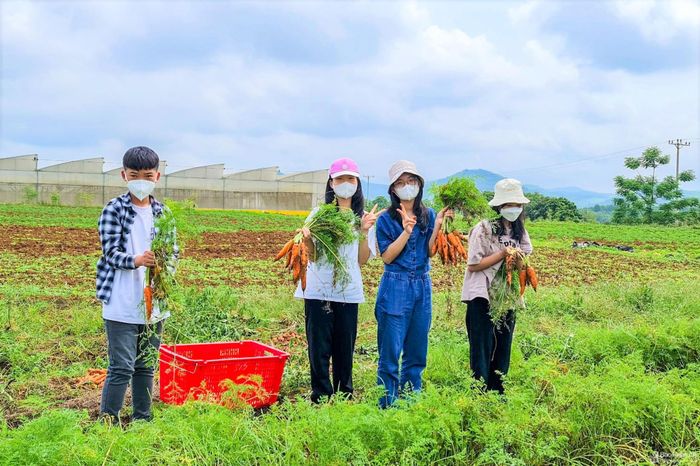Lớp học thử môn Khoa học IGCSE ngay tại trang trại của CTCP sản xuất và cung ứng rau, quả sạch quốc tế (FVF - Tập đoàn TH).