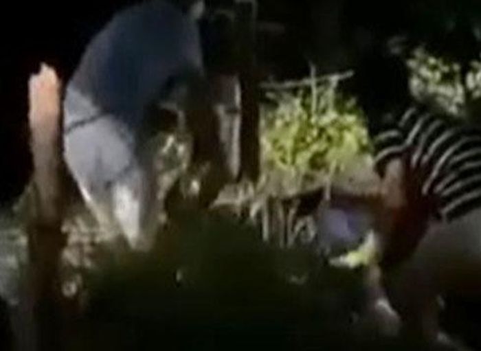 Thi thể nạn nhân được đưa lên bờ