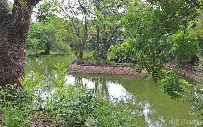 Hơn 10 năm nay địa phương kêu gọi doanh nghiệp đầu tư phát triển du lịch Khu di tích Núi Đất nhưng đến nay vẫn chưa có tín hiệu lạc quan