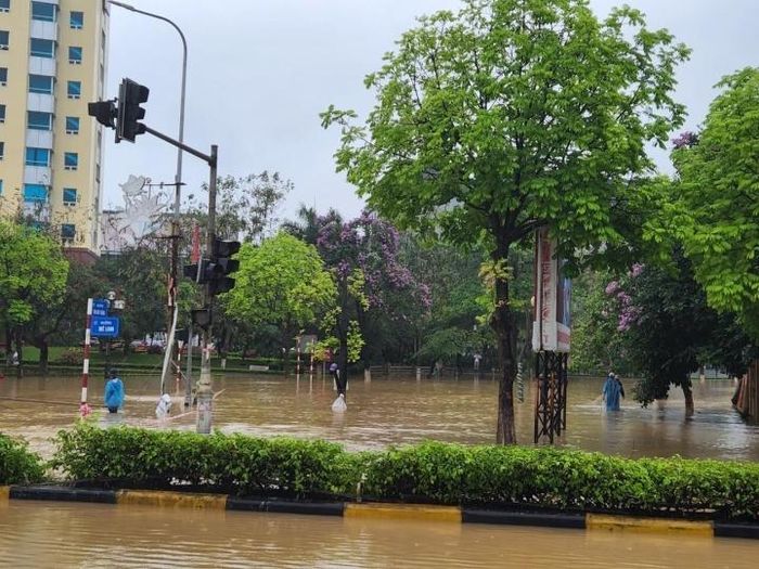 Tại ngã tư Mê Linh - Tôn Đức Thắng, người dân mang lưới, túi ra đường bắt cá.