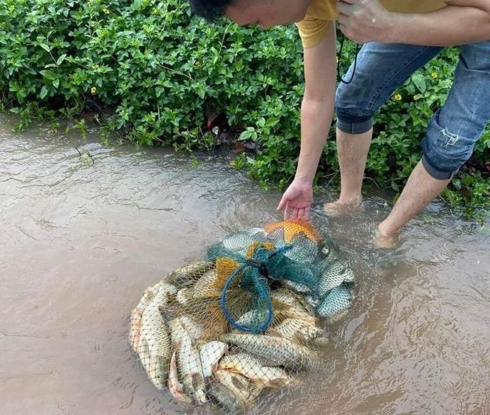 Một người dân khoe "chiến lợi phẩm" thu hoạch được trong trận mưa ngập lịch sử này.