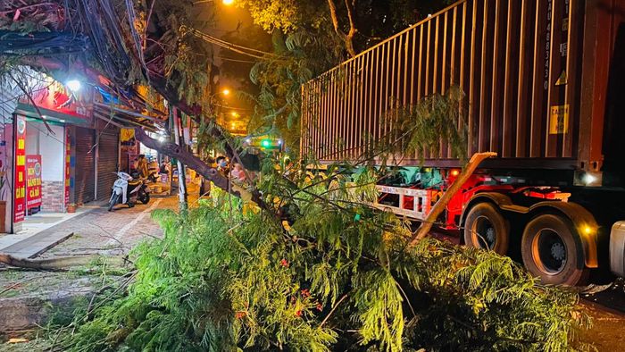 Vụ va chạm khiến một cành cây lớn đổ xuống đường. Thời điểm này, một học sinh đi xe đạp điện qua bị đè trúng.