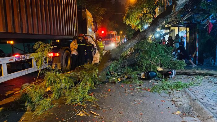 Lực lượng chức năng sau đó phải tạm rào một đoạn đường Hoàng Hoa Thám để xử lý hiện trường. Cành cây bị gãy có đường kính khoảng 40 cm.