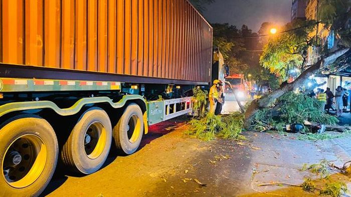 Sáng 26/5, trao đổi với PV Báo Tri thức và Cuộc sống, vị đại diện Đội Cảnh sát Phòng cháy chữa cháy và cứu nạn cứu hộ, Công an quận Ba Đình (Hà Nội) cho biết, đêm 25/5, một xe container di chuyển trên đường Hoàng Hoa Thám, quận Ba Đình va vào một cây phượng lớn.