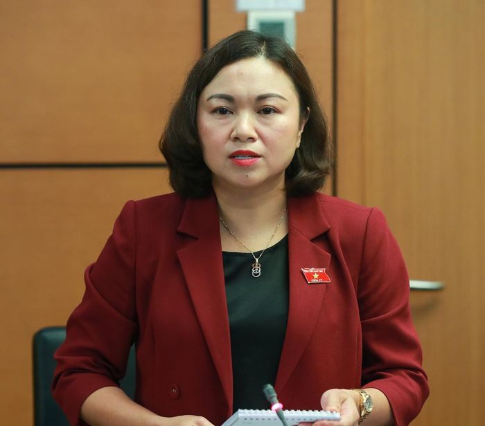 Đại biểu Đặng Bích Ngọc.