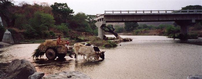  Kết quả, sông không còn chảy qua phía dưới cây cầu nữa. Và cầu Choluteca nằm chơ vơ trên cạn, được gán cho biệt danh "Cây cầu không dẫn đến đâu". Ảnh: Lujuba. 