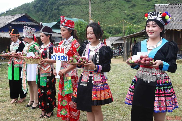 Hội thi mận đẹp, mận ngon của các hộ đến từ các bản trên địa bàn xã Mường Lống.