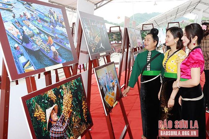 Người dân tham gia triển lãm "Ảnh đẹp trái cây".