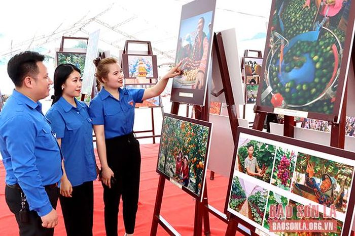 Đoàn viên thanh niên tham quan Triển lãm.