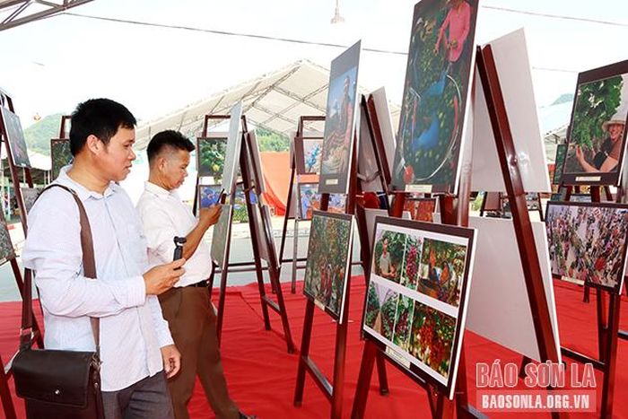 Người dân livestream trên mạng xã hội quảng bá về Triển lãm.
