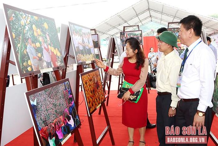 Các đại biểu tham quan Triển lãm "Ảnh đẹp trái cây".