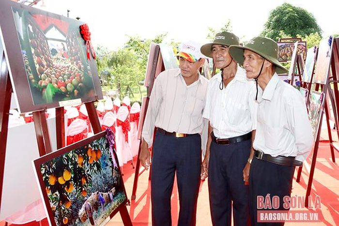 Du khách đến từ tỉnh Đồng Tháp tham quan Triển lãm.