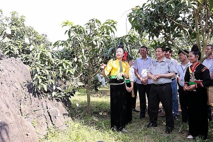 Báo cáo Thủ tướng, người dân cho biết mô hình trồng cây ăn quả còn giúp hạn chế xói mòn đất, lũ lụt… đá không còn cao lên mãi như trồng ngô trước đây - Ảnh: VGP/Nhật Bắc