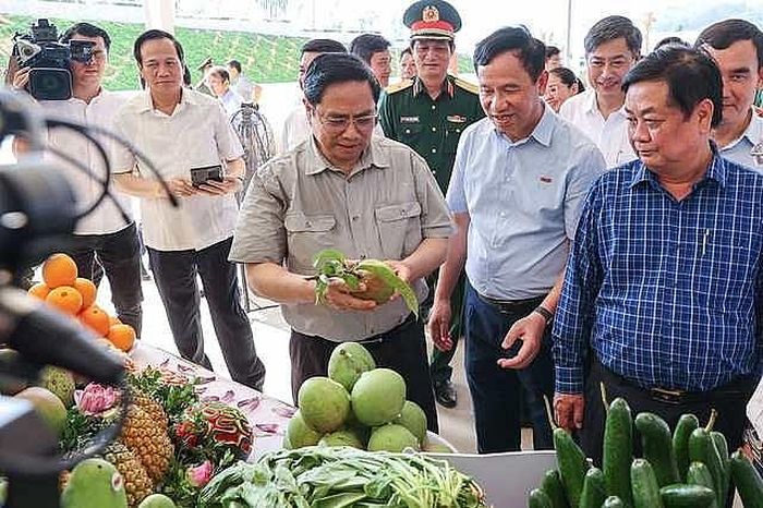 Các loại cây ăn trái của vùng sản xuất nông nghiệp xã Hát Lót là nguyên liệu cho các nhà máy của Trung tâm Chế biến rau quả Doveco Sơn La - Ảnh: VGP/Nhật Bắc