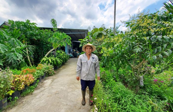 Sau khi mua đất, ông Cường đầu tư hàng trăm triệu đồng để đầu tư vào khu đất xanh tốt...