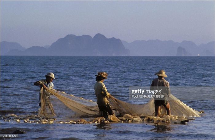 Dân chài kéo lưới bên bờ vịnh.