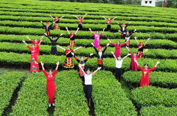 Hội thi dân vũ thể thao trực tuyến là dịp sinh hoạt văn hóa lớn được phụ nữ trong tỉnh hồ hởi tham gia.