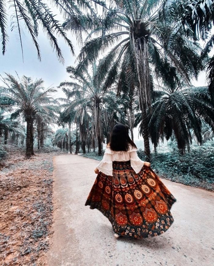 Lối vào Lâm viên Cọ Dầu - Ảnh Phan Hoài An