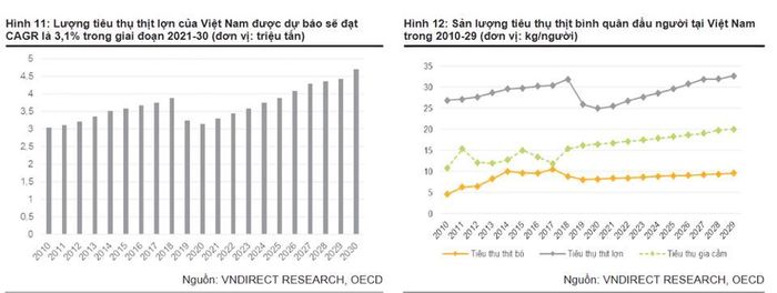 Giá lương thực tăng ảnh hưởng đến các DN sản xuất và chế biến thịt. Ảnh nguồn VNDiRect Research.