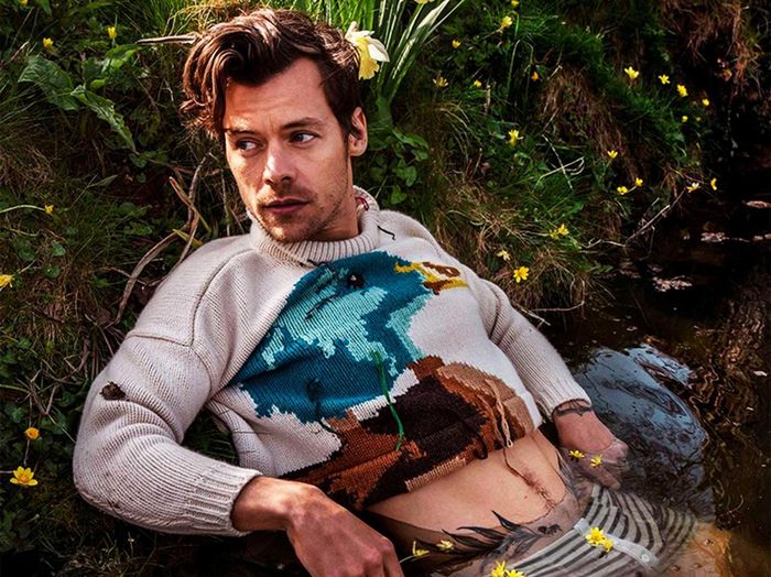 Phong cách phi giới tính cũng là điều đặc biệt cuốn hút ở Harry Styles