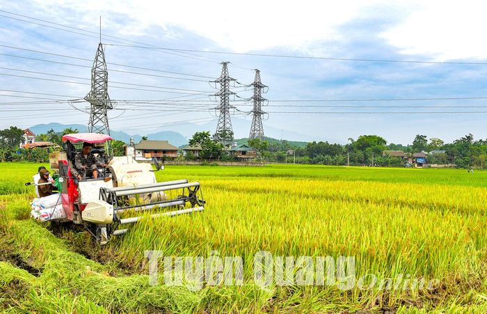 Người dân xã Kim Phú (TP Tuyên Quang) đưa cơ giới hóa vào sản xuất nông nghiệp.
