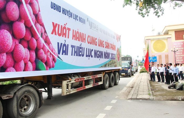 Việc tiêu thụ sản phẩm đến nay cơ bản thuận lợi
