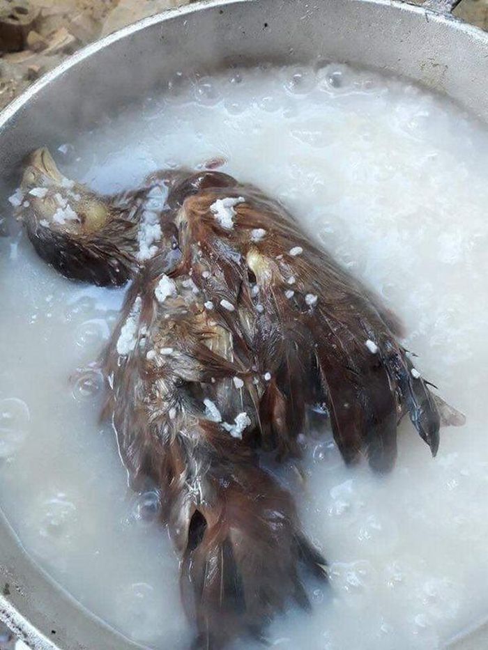 Nấu cháo gà nguyên cả lông như thế này quả thực khiến người ăn không dám đụng đũa.