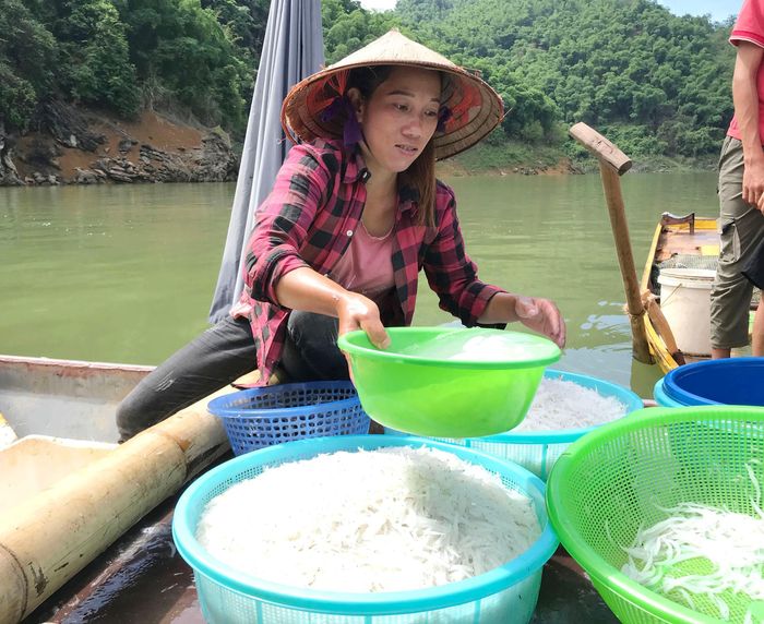 Cá ngần toàn thân trong suốt, trắng ngần; mắt cá như hạt vừng đen nhánh. Cũng từ đặc điểm này nên cá được người dân gọi với tên "cá ngần". Đầu của chúng nhọn, xương chủ yếu là chất sụn. Cá ngần được sử dụng làm thực phẩm ở dạng cá tươi, hoặc phơi khô. Tuy nhiên, do là của hiếm nên chủ yếu được chế biến khi còn tươi hoặc ướp đá.